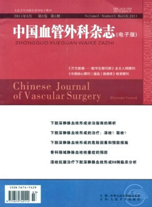 中国血管外科杂志